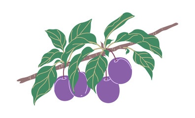 Wall Mural - Simple Plum Tree Branch with Fruits.