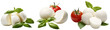 Mozzarella with red tomatoes and basil. Cheese set, mozzarella collection. Isolated on a transparent background. KI.