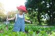 © Bordinthorn - Adorable little girl holding garden shovel and standing in farm. Cute child learn gardening, planting and cultivating vegetables in domestic garden. Ecology, organic food.
