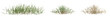 © EcoSpace - Set of dry and green grass with isolated on transparent background. PNG file, 3D rendering illustration, Clip art and cut out