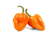 Two Orange Habanero Peppers Isolated On Transparent Or White Background, Png