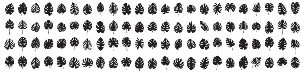 set of leaf silhouette elements. collection of monstera silhouettes on isolated background. vector i