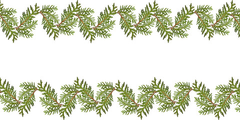 Wall Mural - plant pattern, border of green thuja branches on transparent background.