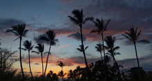 Stunning Panoramic View Of Silhouetted Palm Trees Against The Sky At Twilight In Kihei; Maui, Hawaii, United States Of America