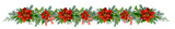 Fototapeta Do akwarium - A long colorful Christmas garland with fir branches, holly, red poinsettia flowers, red bows and berries hand drawn in watercolor. Watercolor Christmas illustration. Isolated image
