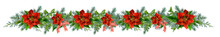 A Long Colorful Christmas Garland With Fir Branches, Holly, Red Poinsettia Flowers, Red Bows And Berries Hand Drawn In Watercolor. Watercolor Christmas Illustration. Isolated Image