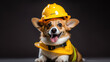 © MP Studio - Dog wearing construction helmet on dark background.