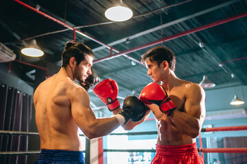 mma or thai boxing match, two professional fighters punching or boxing, fit muscular caucasian athle