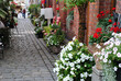 zdjęcie kamiennej ulicy udekorowanej kolorowymi kwiatami