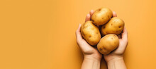 Vegetables In Hands On A Yellow Background With Space For Text. Four Large Potatoes In Female Hands. Design For Poster, Cover Of Farmer's Fair, Grocery Store. AI Generated