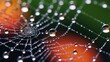 Closeup of spider web with dew drops,  adorned with glistening dewdrops, capturing reflections amidst a vibrant backdrop,  glistens with captured raindrops, weaving a delicate pattern