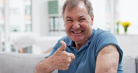 Wall Mural - Vaccine, pointing to plaster and senior man for vaccination, immunity and virus protection on arm. Healthcare, hospital and portrait of male person with bandage for injection, medicine and treatment