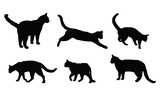 Fototapeta Pokój dzieciecy - Cat Vector Graphic Design