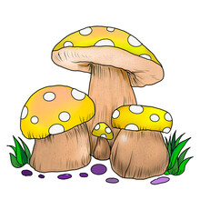 Mushroom Cartoon Image