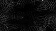 © 18042011 - Halloween seamless background as a Spider webs on the black background, in the style of gothic references, dark and spooky themes,