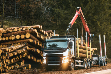 loading logs onto a logging truck. portable crane on a logging truck. forestry tractors, trucks and 