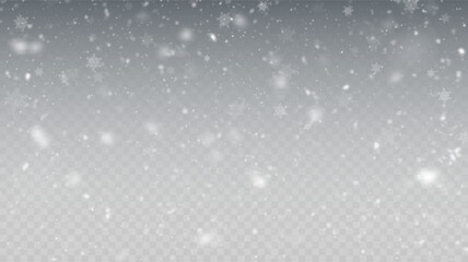 Poster - Falling Snow Overlay Background. Snowfall Winter Christmas Background. Vector Illustration.