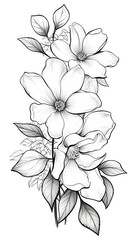 Wall Mural - Cute Jasmine flower in coloring page style illustration. Line art painting. Generative AI