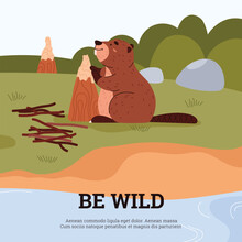 Cute Cartoon Beaver Gnaws At Tree, Collects Branches Near The River, Brown Short-haired Mammal Vector Wildlife Poster