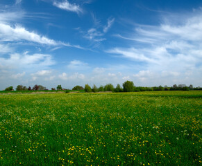 Poster - Landscape of green meadow