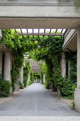 Naklejka na meble green covered building in wrolcaw