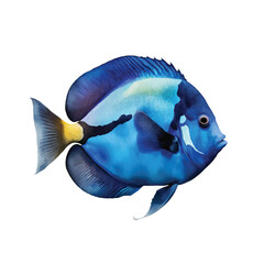 Wall Mural - Blue tang watercolor paint 