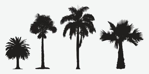  Stunning Collection of Exquisite Palm Tree Silhouettes: An Enchanting Tropical Oasis!