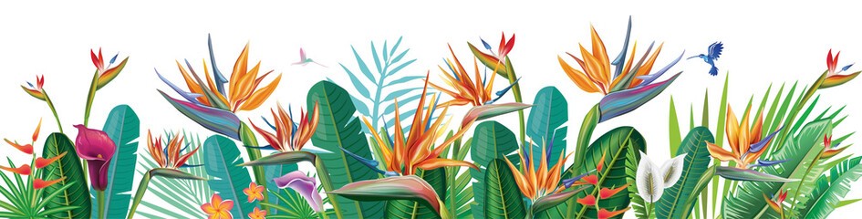 Wall Mural - Banner from Strelitzia flowers and tropical plants