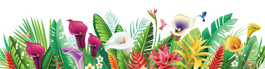 Wall Mural - Arrangement of tropical flowers and plants