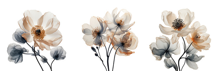 Wall Mural - X ray effect flowers. Generative Ai