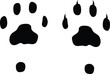 © Behemoth Digital - Cat paw vector graphic. Kitty paw with and without claws. cat claw silhouette.
