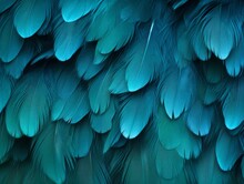 Teal Feathers Background, Clean Soft Illustration