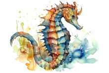 Watercolor Seahorse Illustration On White Background