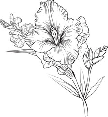 Wall Mural - gladiolus birth flower vector illustration, beautiful gladiolus flower bouquet, hand-drawn coloring pages gladiolus flower drawing of artistic, engraved ink art, birth flower tattoo designs