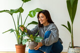 Fototapeta Paryż - young 20 year old woman taking care of plants in her home