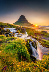 Wall Mural - Sunrise over Kirkjufell mountain with waterfall flowing and wildflower blooming in summer at Iceland