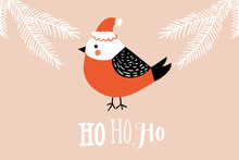 Christmas Card With Bird In Santa Hat And Text Hohoho. Hand Drawn Cite Vector Illustration For Winter Season Holidays.