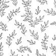 Abstract outlined branches seamless pattern.  Vector foliage silhouettes. Botanical seamless background