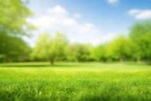 Beautiful Blurred Background Green Grass Under Blue Skies