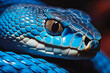 Blue viper snake closeup face. Dangerous animal snake closeup