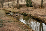 Fototapeta Na ścianę - river in the woods
