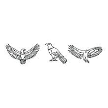Eagle Bird Hand Drawn Doodle Illustrations Vector Set