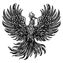 Flying Phoenix Bird Illustration