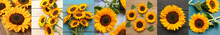 Collage With Many Sunflowers On Color Background