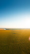 Sunflower field concept panoramic image. aerial high res panorama photo over a big sunflower plantation, farming and agriculture industry.
