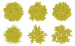 Set of yellow bush on top view isolated on transparent background, 3d render illustration.