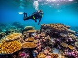 Fototapeta Fototapety do akwarium - Diving in the Great Barrier Reef. Generative AI