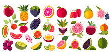 Set Of Colorful Cartoon Fruit Icons Apple Pear Strawberry Orange Peach Plum Watermelon Pineapple Papaya Grape Cherry Kiwi Lemon