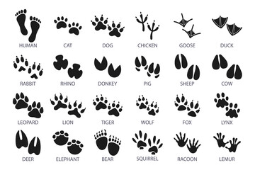big set of footprints of domestic and wild animals. icons, sketch, vector