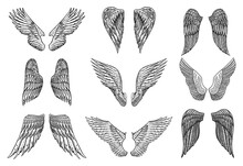 Set Of Angel Wings In Vintage Style. Template For Tattoo And Emblems, T-shirts And Logo. Emblem For Stickers. Engraved Sketch. Vector Illustration.